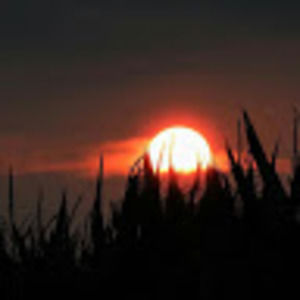 Meet your Posher, Ggrocker